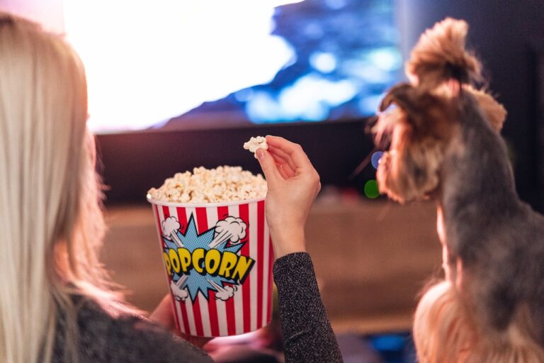 popcorn, girl, food-7025939.jpg