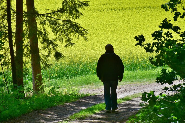 senior, man, oilseed rape-3363949.jpg